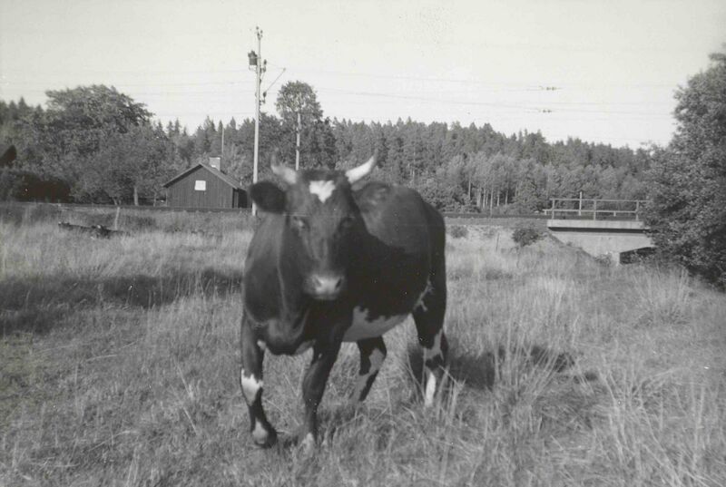 Fil:Östergötland-Åsbo-Banvaktstuga 105 003.jpg