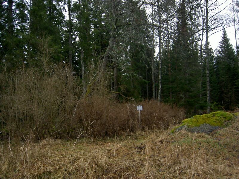 Fil:Östergötland-Åsbo-Eketorp (Bötinge) vy.jpg