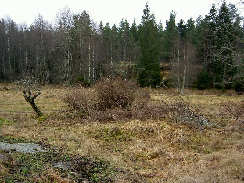 Fil:Östergötland-Åsbo-Eriksberg (Kårarp) ruin.jpg