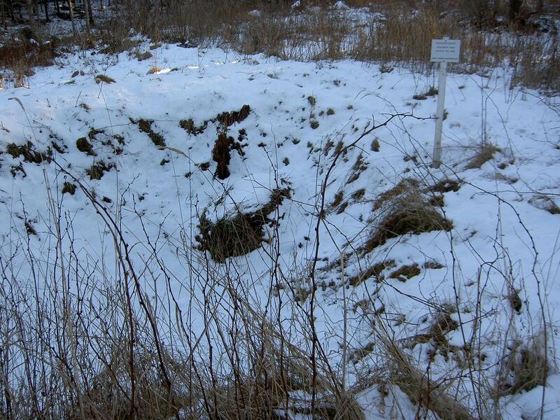 Fil:Östergötland-Åsbo-Fångstgrop (Strålsnäs) vy.jpg