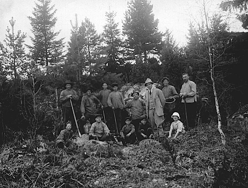 Fil:Östergötland-Åsbo-Flathult plantering.jpg