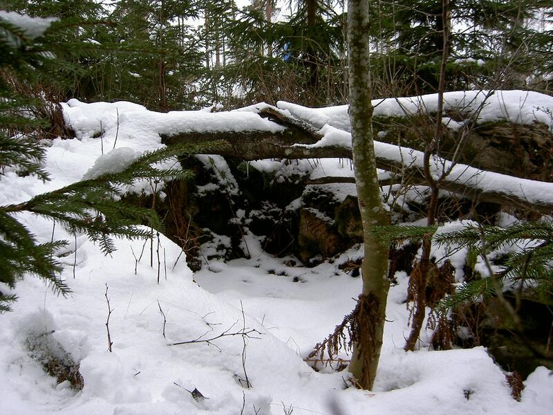 Fil:Östergötland-Åsbo-Gatan (Näsby)-källare.jpg