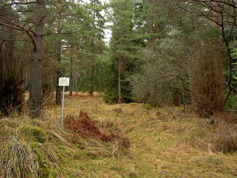 Fil:Östergötland-Åsbo-Hallen (Bergstorp) omgivning.jpg
