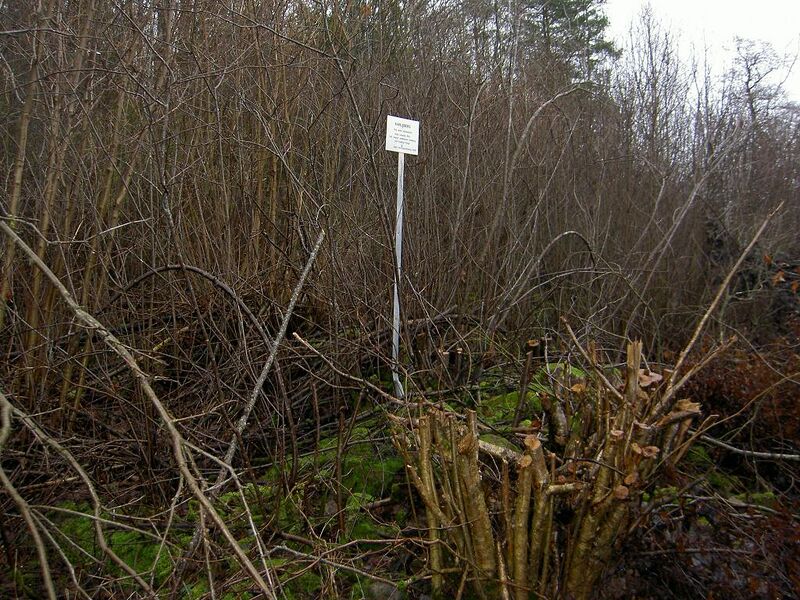 Fil:Östergötland-Åsbo-Karlsberg (Minnestad) vy.jpg