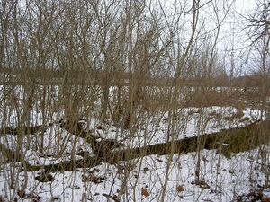 Östergötland-Åsbo-Näsbylund Husgrund.jpg