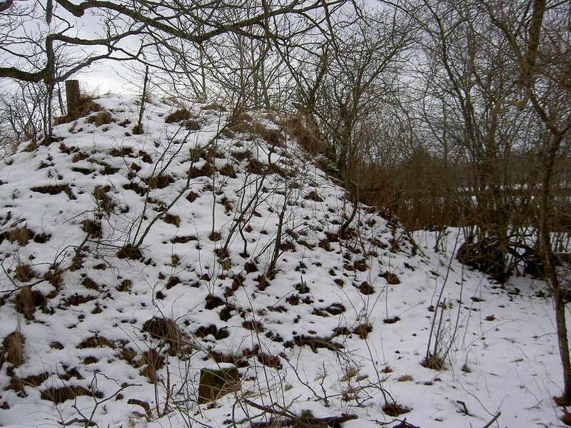 Fil:Östergötland-Åsbo-Näsbylund Källare.jpg