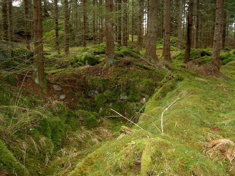 Fil:Östergötland-Åsbo-Olstorp (Östanå) källare.jpg