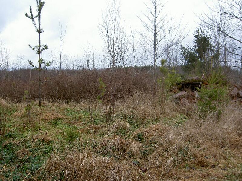 Fil:Östergötland-Åsbo-Sandstugan Åsen.jpg