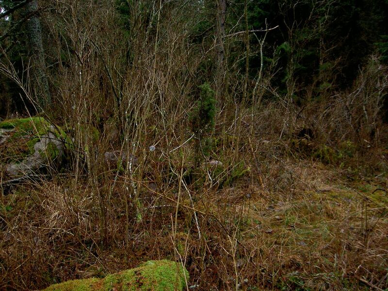 Fil:Östergötland-Åsbo-Skogalund (Östanå) vy 2.jpg