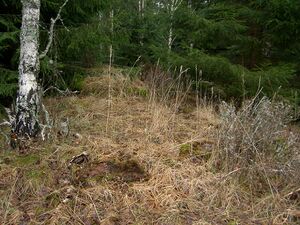 Östergötland-Åsbo-Skogatorpet (Bensäter).jpg