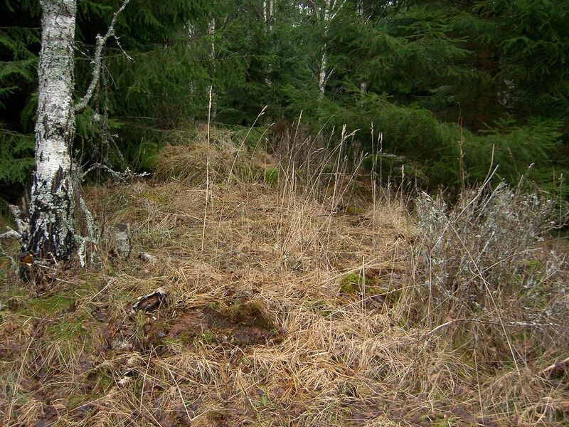 Fil:Östergötland-Åsbo-Skogatorpet (Bensäter).jpg