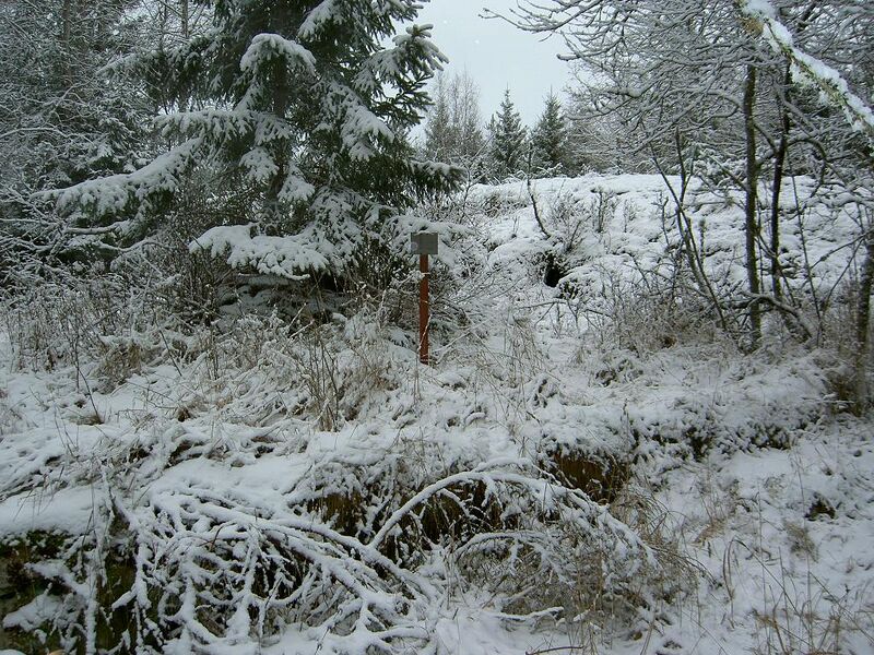 Fil:Östergötland-Åsbo-Skogen vy.jpg