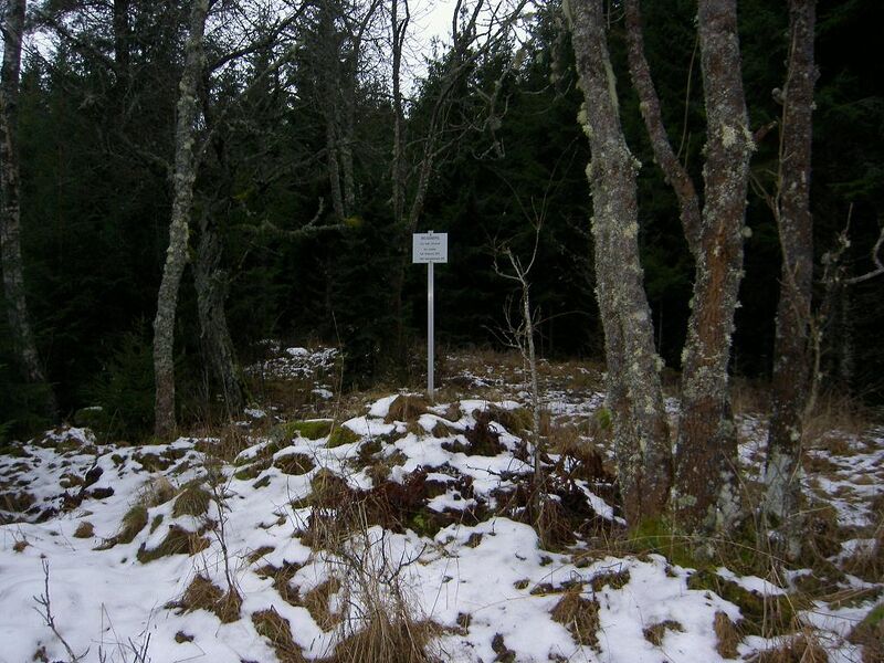 Fil:Östergötland-Åsbo-Skogsberg (Näsby)-vy.jpg