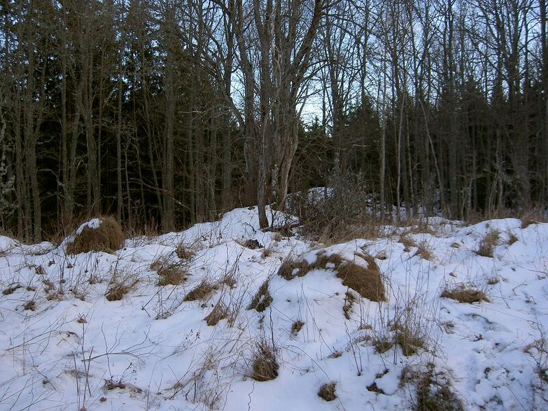 Fil:Östergötland-Åsbo-Smedhemmet (Grönlund)-vy.jpg
