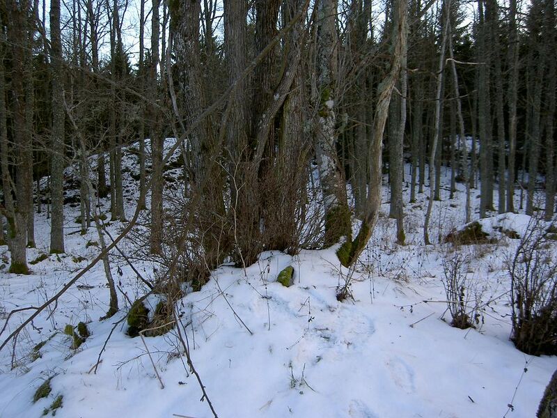 Fil:Östergötland-Åsbo-Smedhemmet (Grönlund)-vy2.jpg