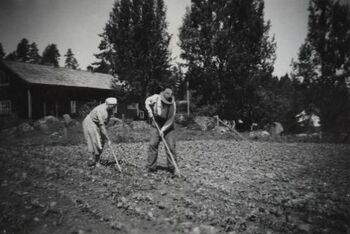 Trappan, John och Svea