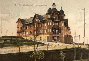 Östergötland-Borg och Löt-Stora Pensionatet.jpg