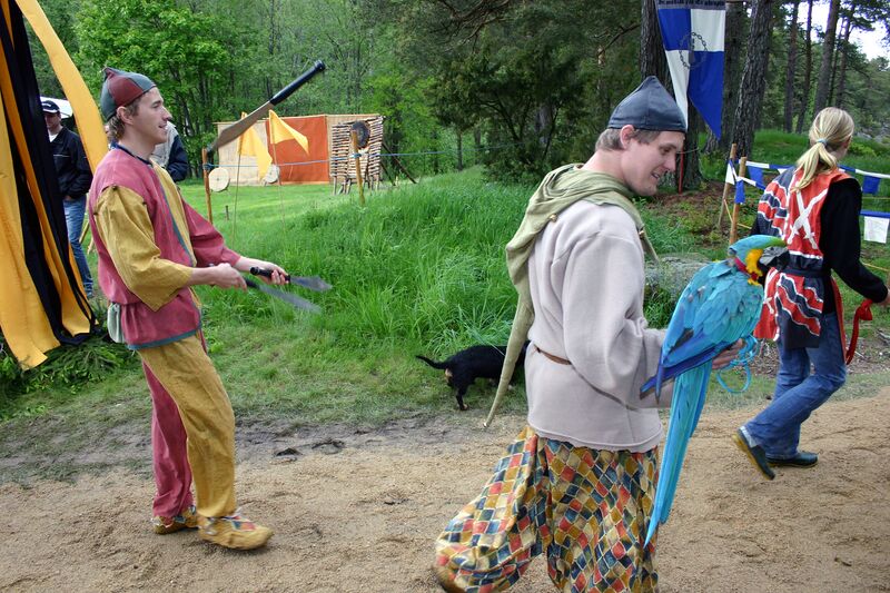 Fil:Dalaborg 2005-32.jpg