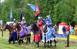 Dalaborg 2005-35.jpg