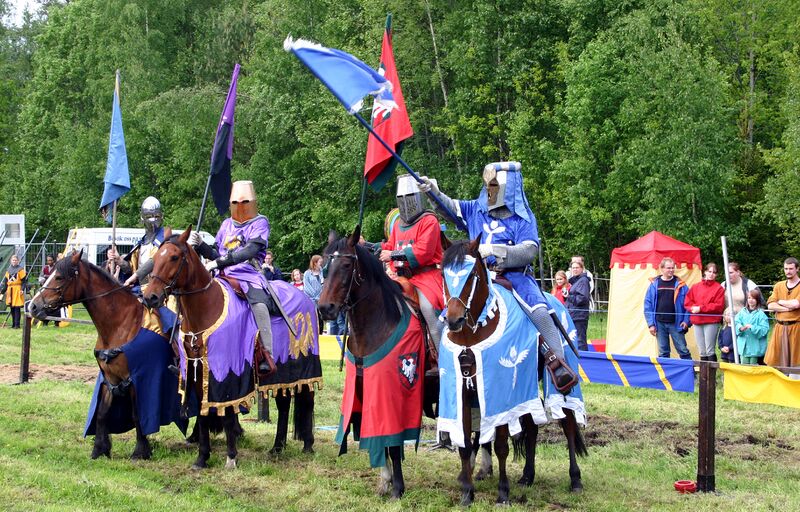 Fil:Dalaborg 2005-35.jpg