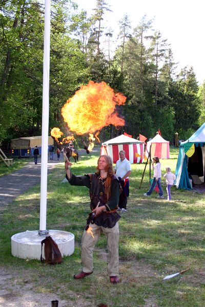 Fil:Dalaborg 2006-1.jpg