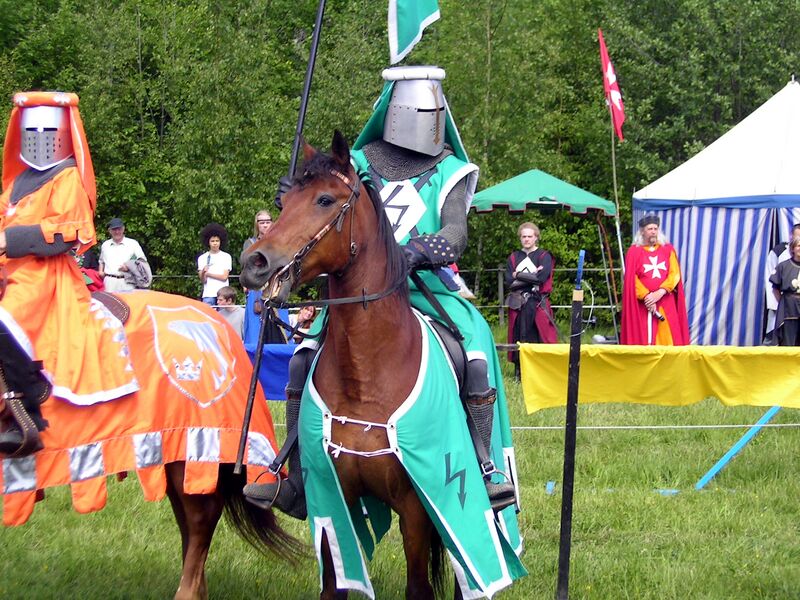 Fil:Dalaborg 700 år 6 juni 2004-17.jpg