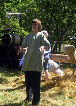 Dalaborg 700 år 6 juni 2004-24.jpg