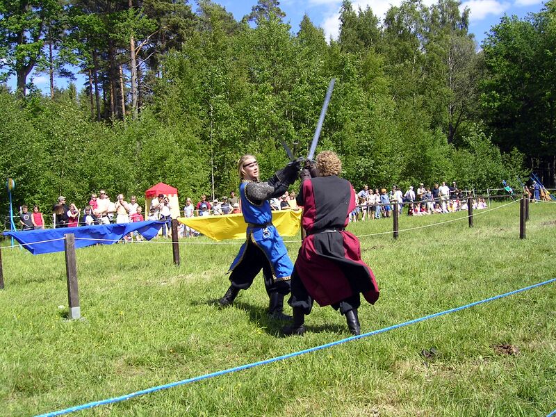 Fil:Dalaborg 700 år 6 juni 2004-28.jpg