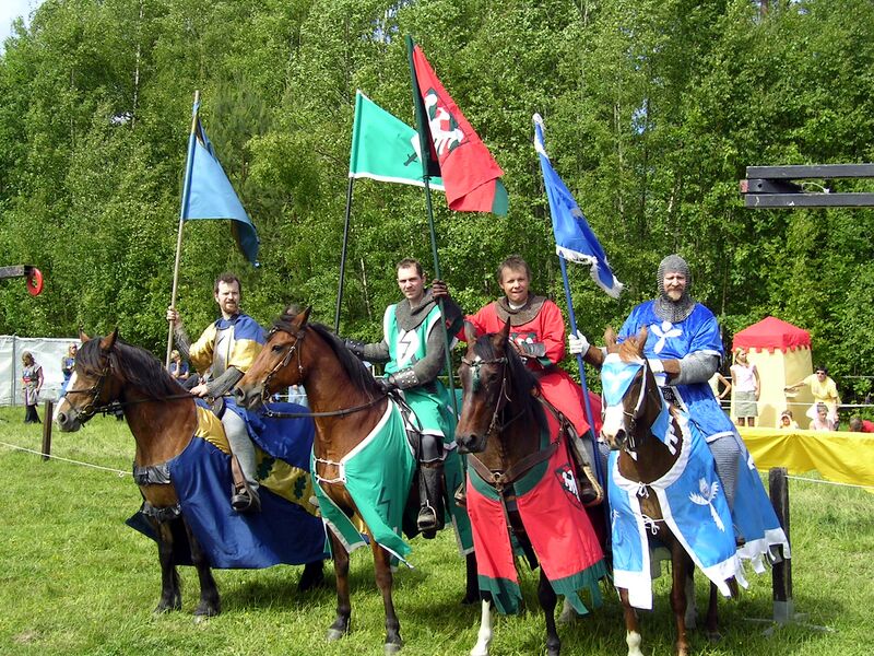 Fil:Dalaborg 700 år 6 juni 2004-30.jpg