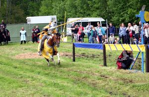 Dalaborgsdagarna 2005-10.jpg