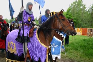 Dalaborgsdagarna 2005-14.jpg