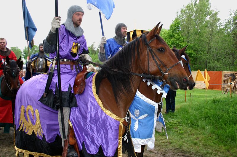 Fil:Dalaborgsdagarna 2005-14.jpg