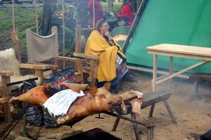 Dalaborgsdagarna 2005-3.jpg