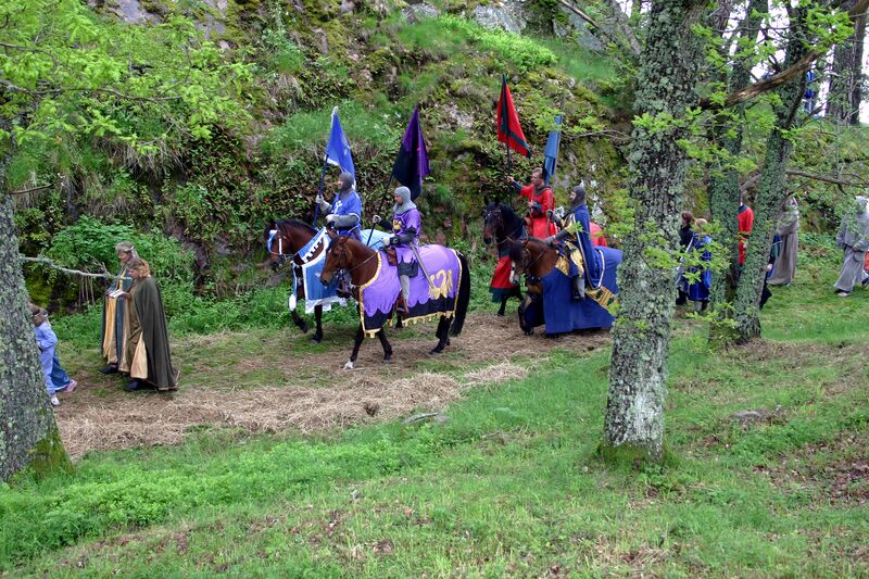 Fil:Dalaborgsdagarna 2005-36.jpg