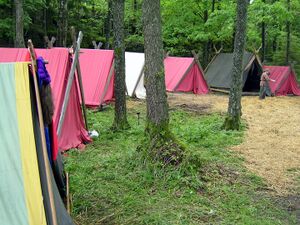 Dalaborgsdagarna 2005-42.jpg