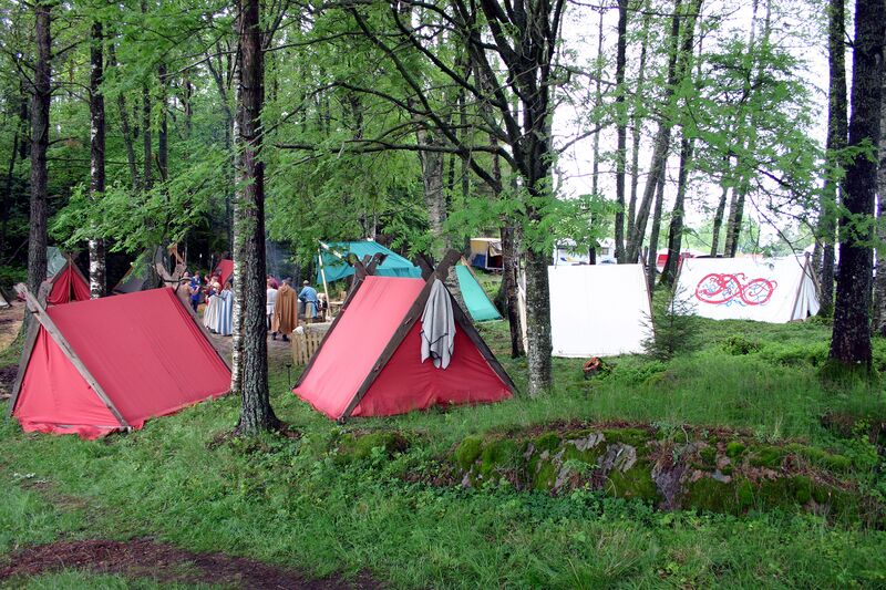 Fil:Dalaborgsdagarna 2005-43.jpg