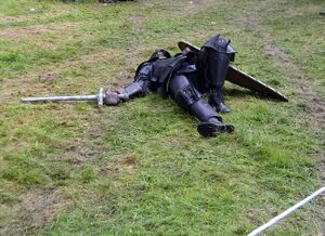 Dalaborgsdagarna 2005-6.jpg