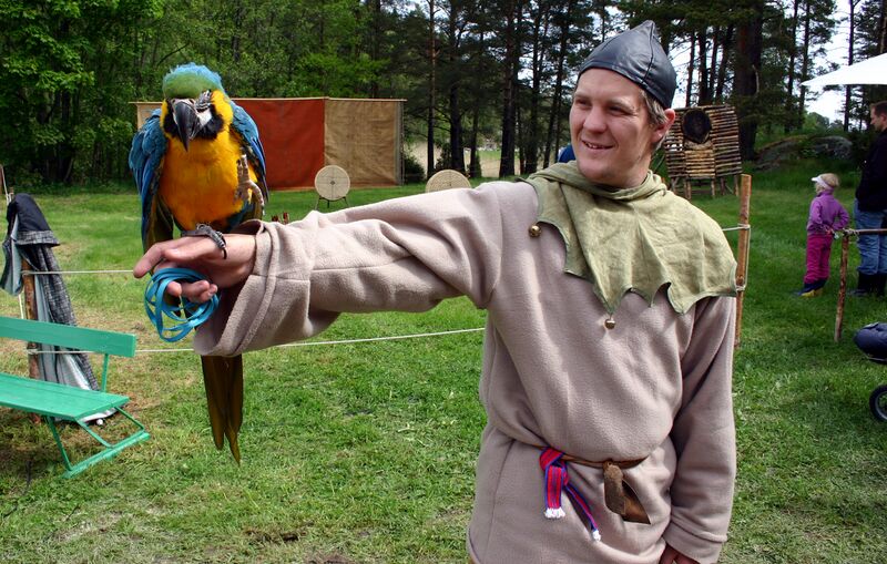 Fil:Dalaborgsdagarna 2005-7.jpg