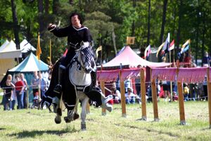 Dalaborgsdagarna 2006-10.jpg