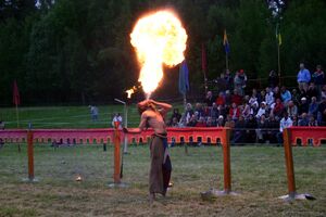 Dalaborgsdagarna 2006-13.jpg