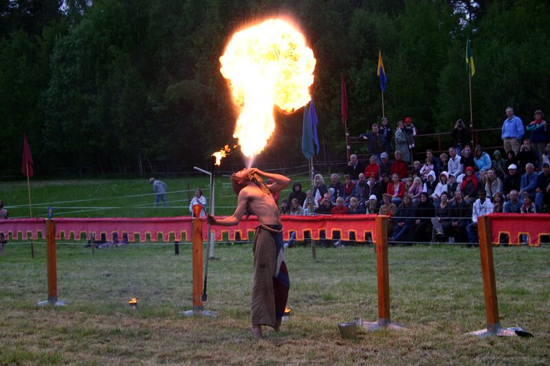 Fil:Dalaborgsdagarna 2006-13.jpg