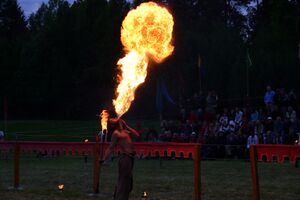 Dalaborgsdagarna 2006-14.jpg