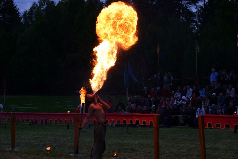 Fil:Dalaborgsdagarna 2006-14.jpg