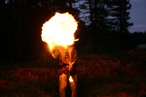 Dalaborgsdagarna 2006-15.jpg