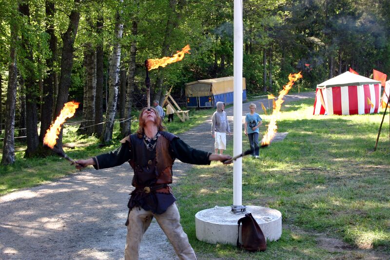 Fil:Dalaborgsdagarna 2006-2.jpg