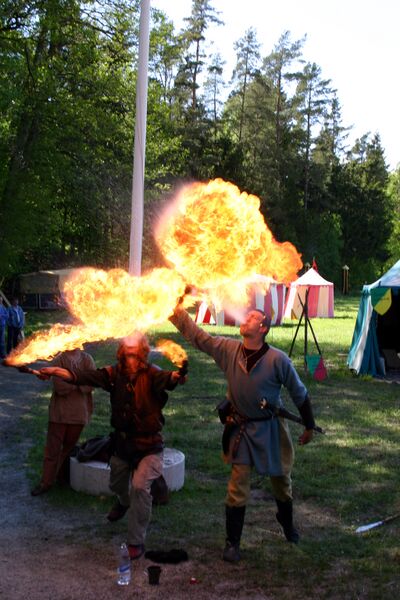 Fil:Dalaborgsdagarna 2006-4.jpg