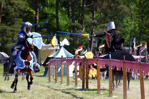 Dalaborgsdagarna 2006-6.jpg