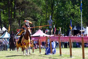 Dalaborgsdagarna 2006-9.jpg