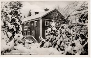 Dalsland-Ånimskog-Ånimskog Björkebäcks Pensionat i vinterskrud.jpg