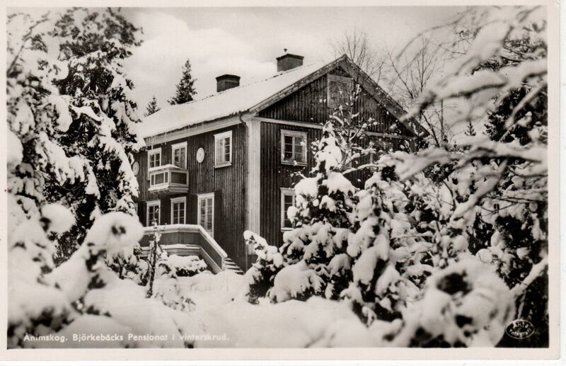 Fil:Dalsland-Ånimskog-Ånimskog Björkebäcks Pensionat i vinterskrud.jpg